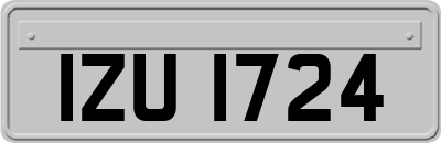 IZU1724