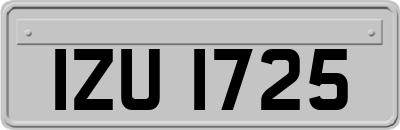 IZU1725