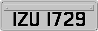 IZU1729
