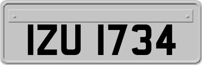 IZU1734