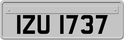 IZU1737