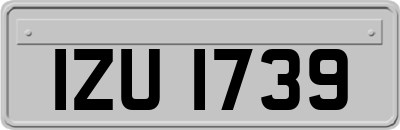IZU1739