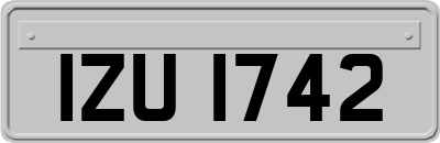 IZU1742