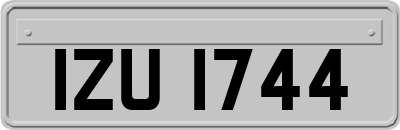 IZU1744