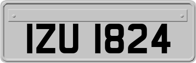 IZU1824