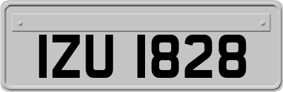 IZU1828