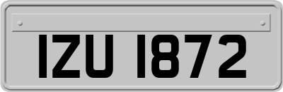IZU1872
