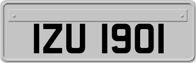IZU1901