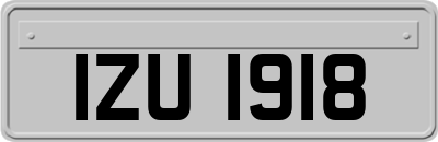 IZU1918