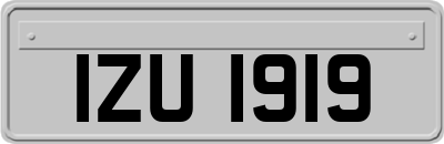 IZU1919