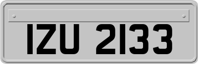IZU2133