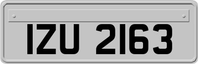IZU2163