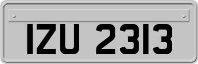 IZU2313