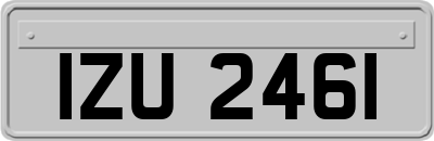 IZU2461