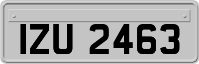 IZU2463