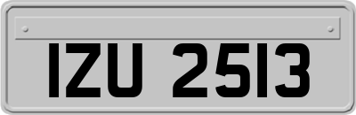IZU2513