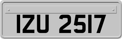 IZU2517