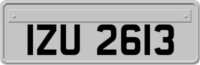 IZU2613