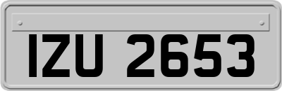 IZU2653