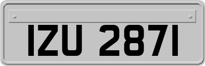 IZU2871