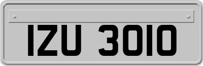 IZU3010