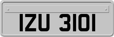 IZU3101