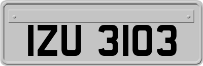 IZU3103