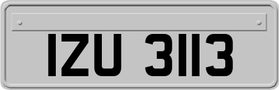IZU3113