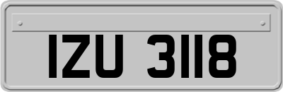 IZU3118