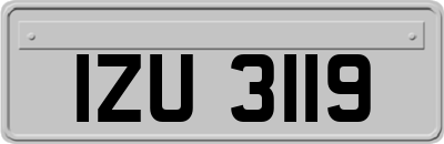 IZU3119
