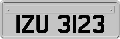 IZU3123