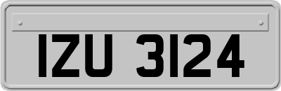 IZU3124
