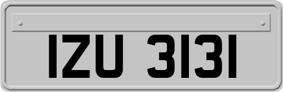 IZU3131