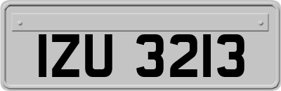 IZU3213