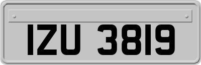 IZU3819