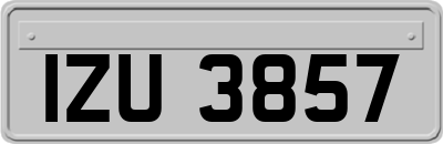 IZU3857