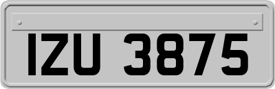 IZU3875