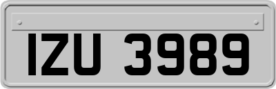 IZU3989