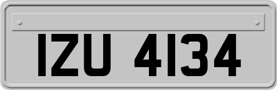 IZU4134