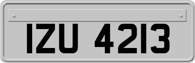 IZU4213