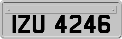 IZU4246