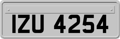 IZU4254