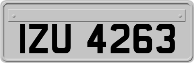 IZU4263