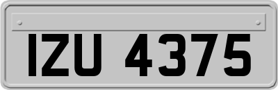 IZU4375