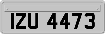 IZU4473