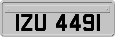 IZU4491