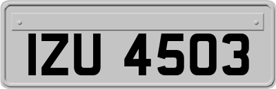 IZU4503