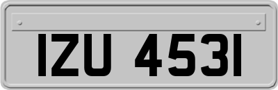 IZU4531