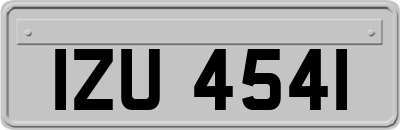IZU4541