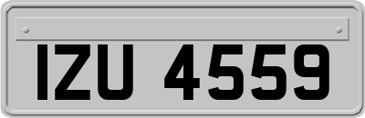 IZU4559